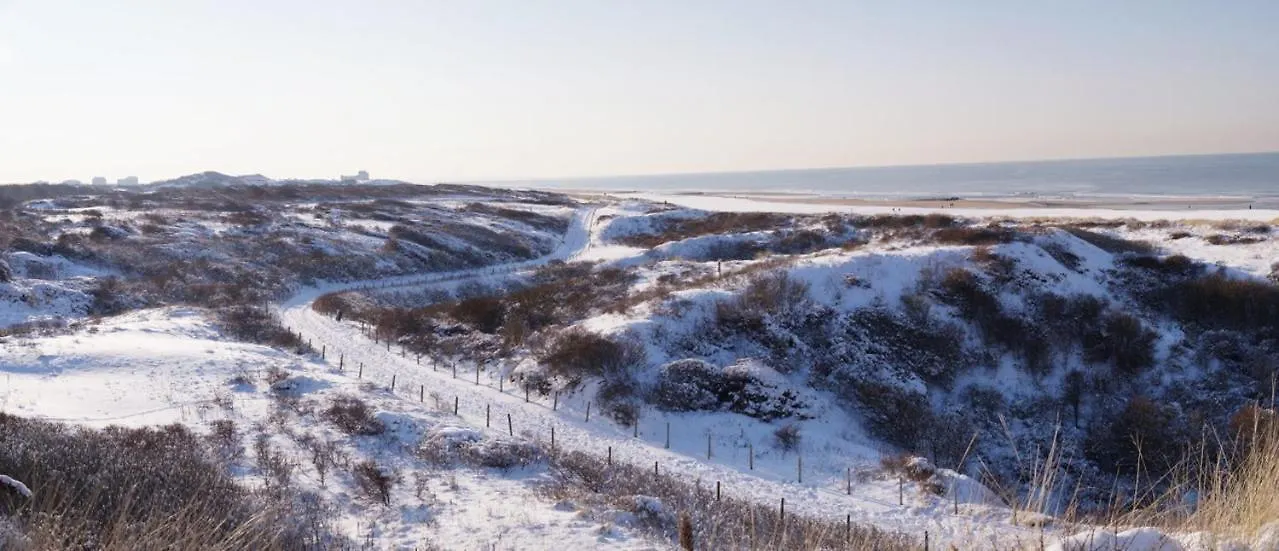 Dunes & Sea At Kijkduin The Hague